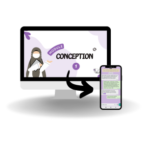 Module conception (formation) + accompagnement 24h/7j